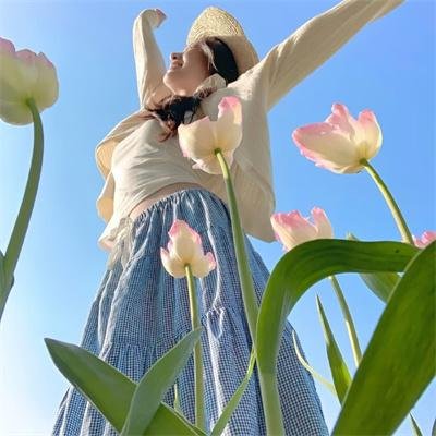 钻石宫